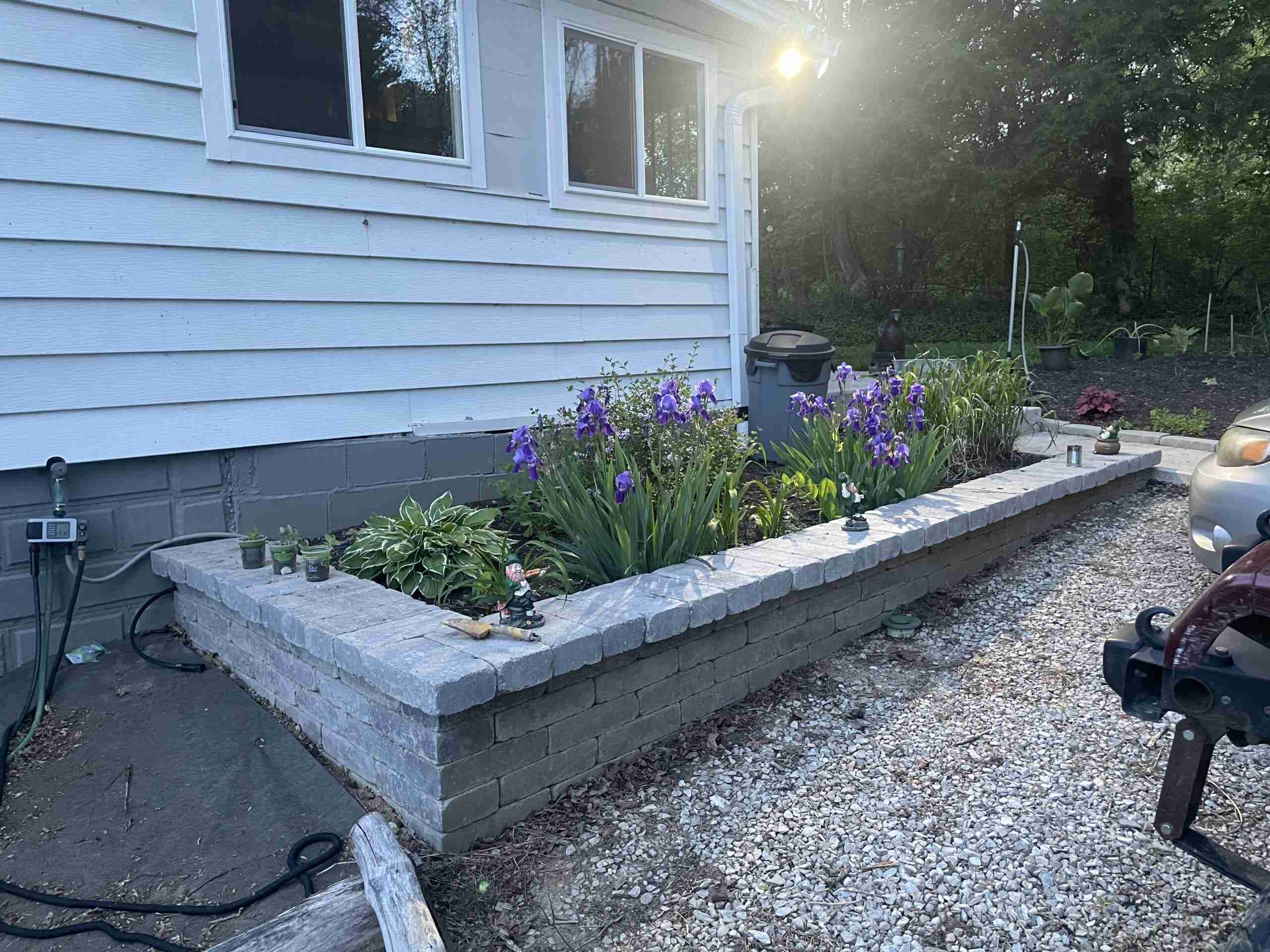 New garden bed & plants